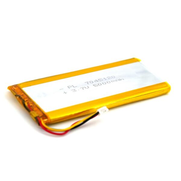 TBS TANGO 2 – BATTERY